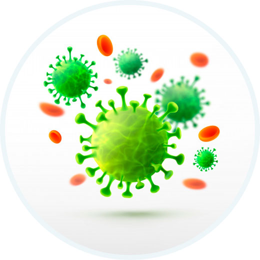 Cvirus Home Two